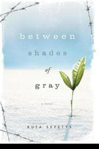 Between Shades of Gray