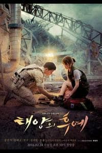 Descendants of the Sun