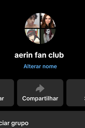 Grupo da Aerin 