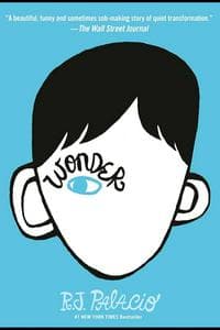 Wonder