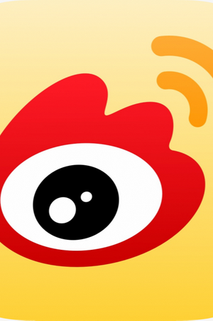 Weibo Typologists
