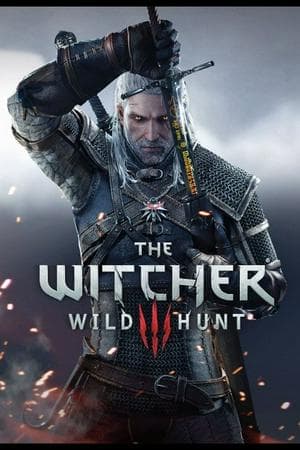 The Witcher