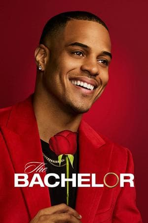 The Bachelor (Franchise)