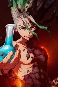 Dr. Stone