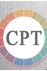 Cognitive Personality Theory (CPT)