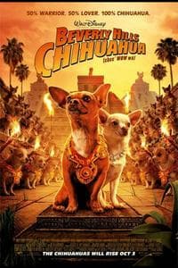 Beverly Hills Chihuahua