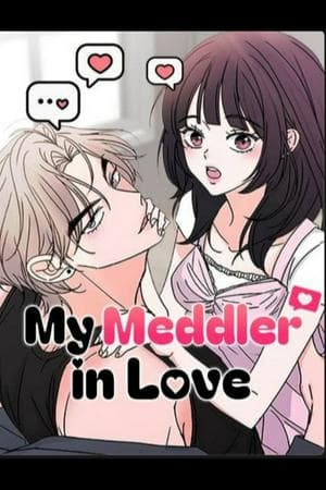 My Meddler in Love
