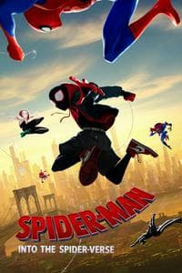 Spider-Man: Into the Spider-Verse (2018)