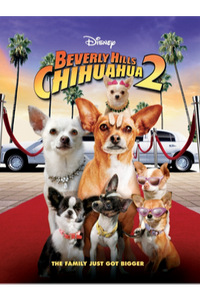 Bevery Hills Chihuahua 2