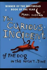 The Curious Incident of the Dog in the Night-Time