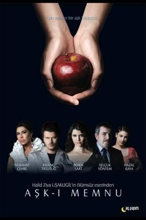 Aşk-ı Memnu (Forbidden Love)