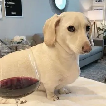 profile_Whitney Chewston