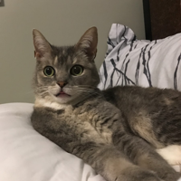 profile_Billi (BilliSpeaks)