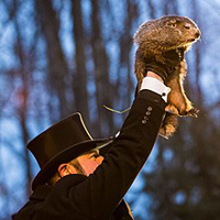 profile_Punxsutawney Phil