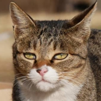 profile_Yeonnim (haha ha)