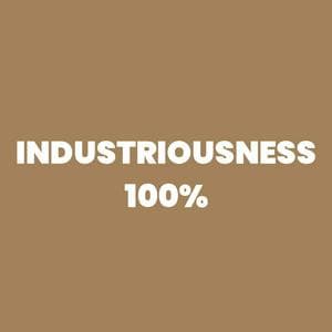 profile_Industriousness 100%