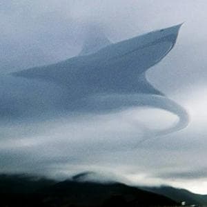 profile_Aircraft shark