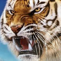 profile_Richard Parker (Tiger)