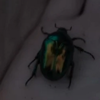 Alfred MBTI -Persönlichkeitstyp image