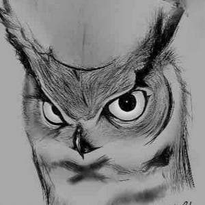 profile_Owl