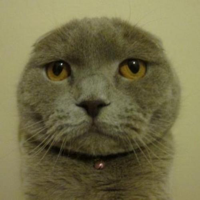 profile_Zarife Çakıl G.