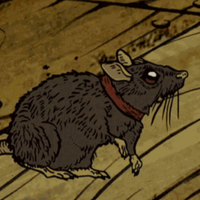 profile_Plague Rat Captain K'Nuckles the Second