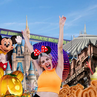 profile_Disney Adult