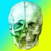 profile_Dilettantish