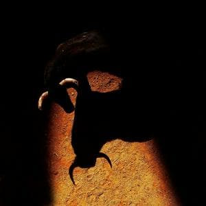 You mess with the bull, you get the horns. mbtiパーソナリティタイプ image