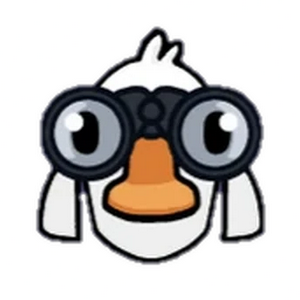 Birdwatcher Goose MBTI 성격 유형 image