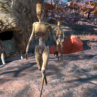 profile_Western Hive