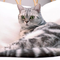 profile_Suri(SuriNoel)