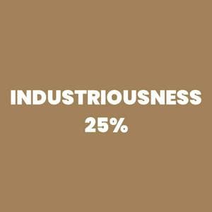 profile_Industriousness 25%