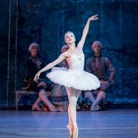 profile_Diamond Fairy