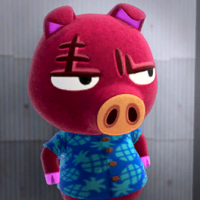 profile_Rasher