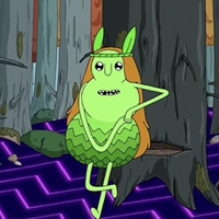 profile_Spirit of the Forest