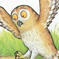 profile_Owl