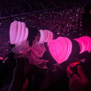 profile_BLINK ( fandom of Blackpink )