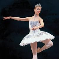 profile_Silver Fairy