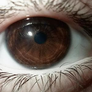 profile_Brown Eyes