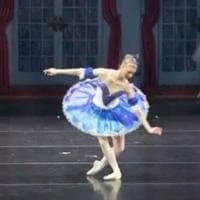 profile_Sapphire Fairy