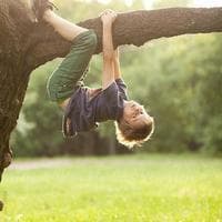 Tree Climbing MBTI Personality Type image