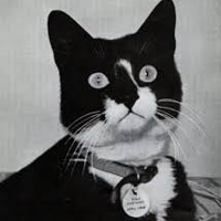 profile_Unsinkable Sam