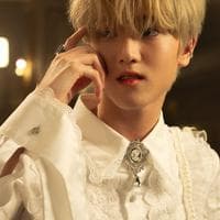 profile_Cheese (DICE)