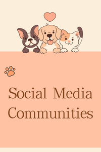Social Media Communities