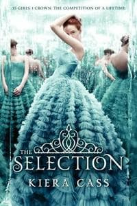 The Selection (Series)