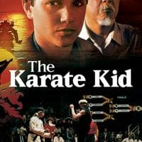 The Karate Kid (Franchise)