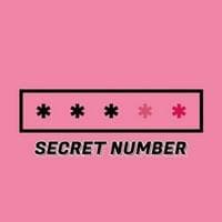 Secret Number